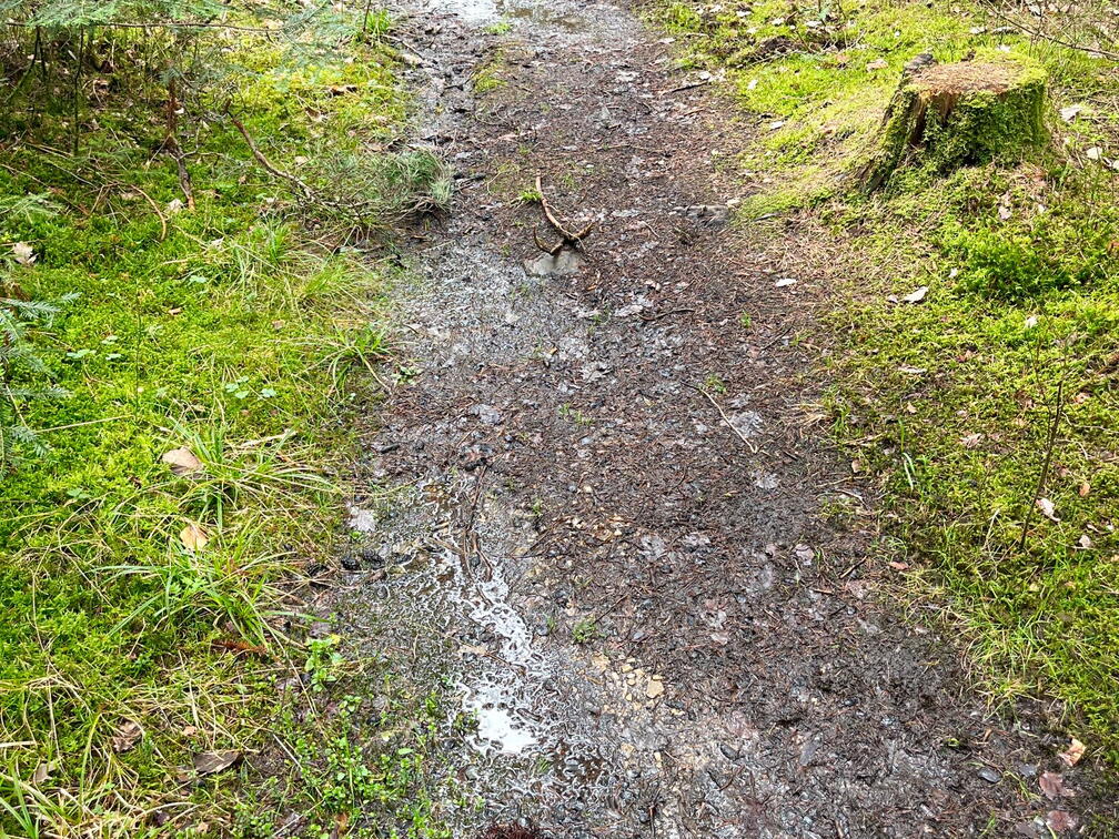 23-04-30 15-03-11 5251